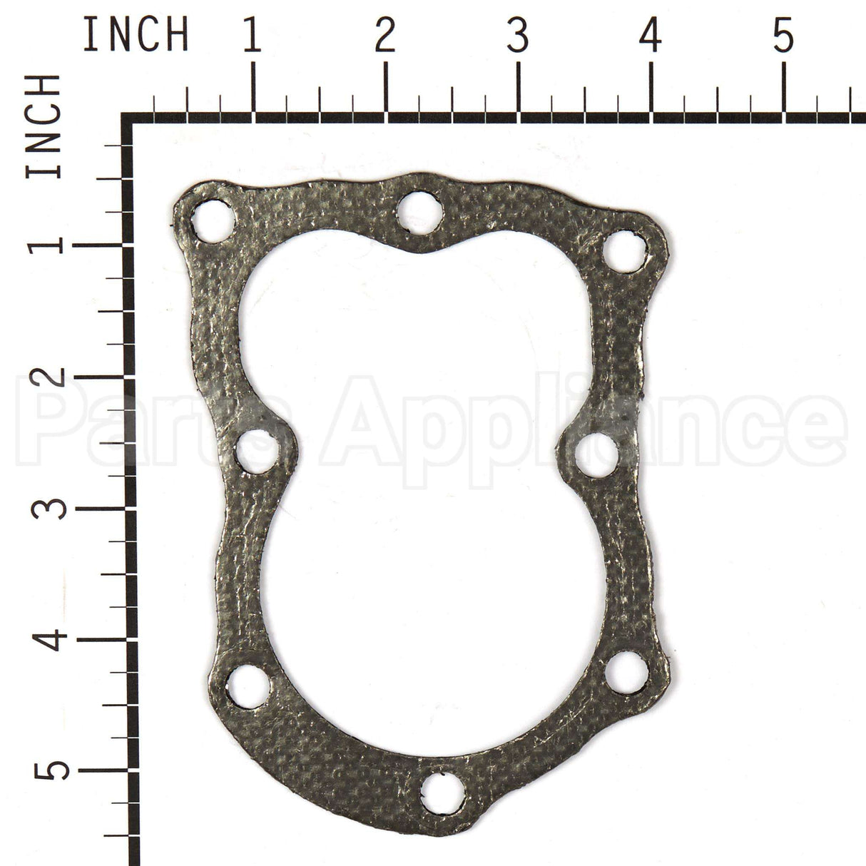 4120 Briggs & Stratton Gasket (5 X 272157S)