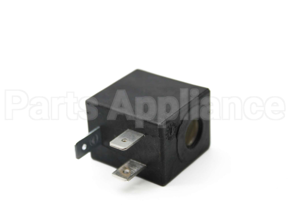 43005590 Asco 240V, 60Hz Coil