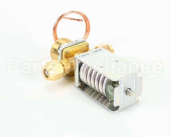 433996-01 Hoshizaki Water Regulator (Wv4
