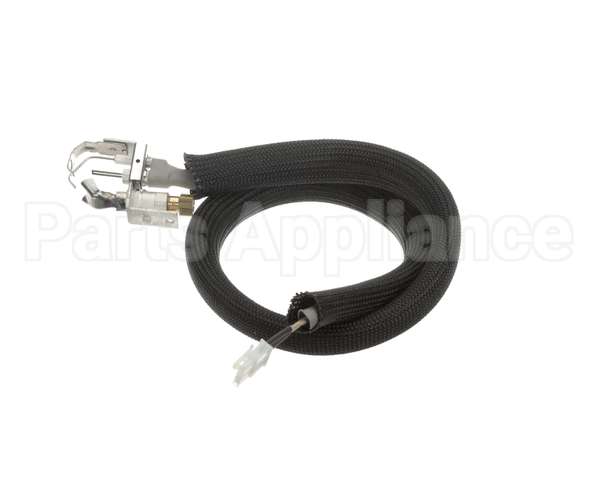 455946 Legion Pilot Burner Ignitor Sensor