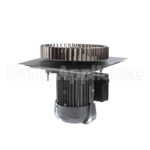 4602806 Garland Kit Motor Assembly 115V 2Sp 0.6Hp