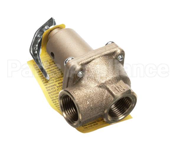 4820-100-07-06 Jackson Valve, Steam Relief 3/4