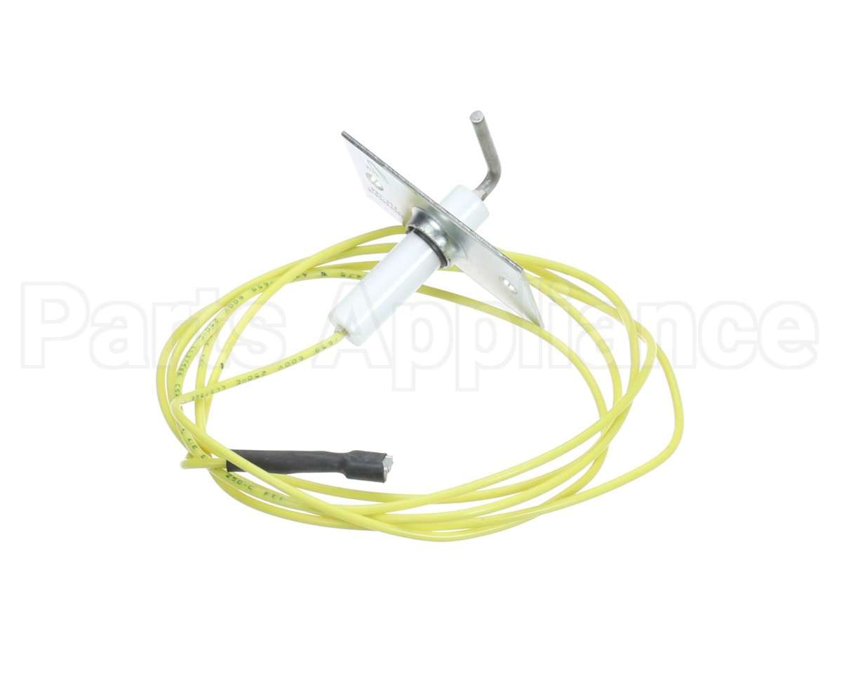 48DP500613 Carrier Flame Sensor With Wire