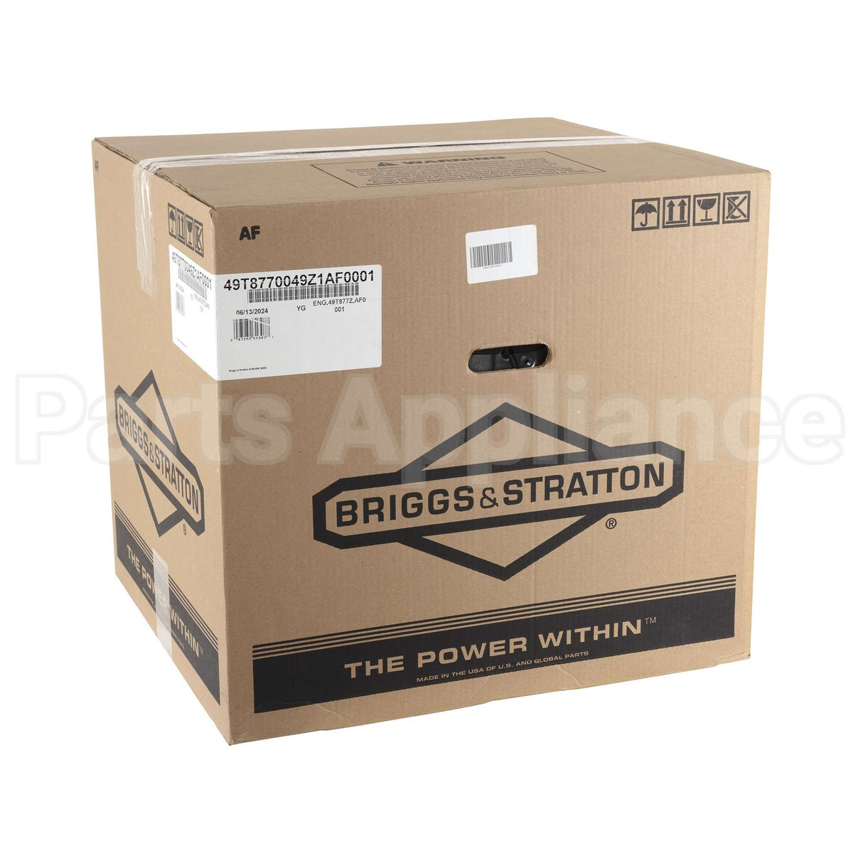 49T877-0049-Z1 Briggs & Stratton Engine Packed Single Carton