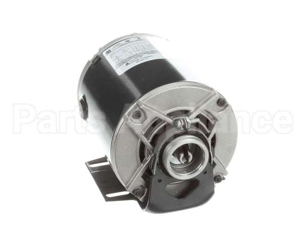 5009598 Multiplex Motor Carb Pump 120V Or 220V