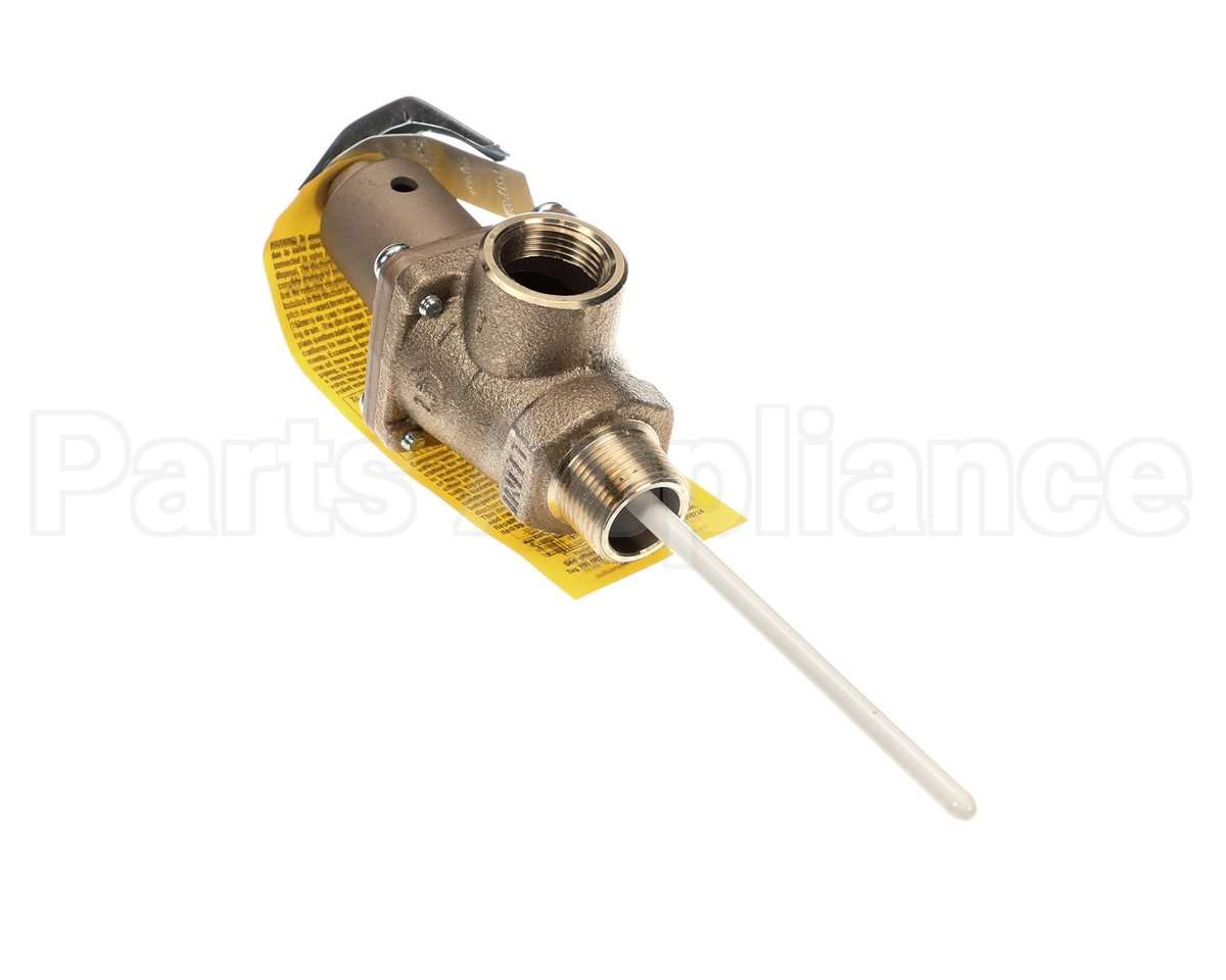 501753 Raypak Relief Valve