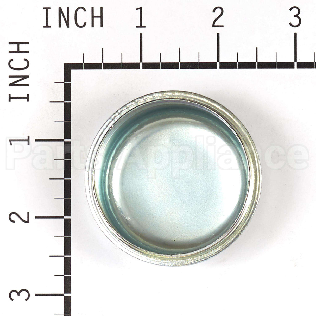 5021073SM Briggs & Stratton Cap Dust