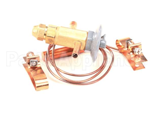 50794906 Victory Valve Expansion Efj-1/4-C 2Sx3 Odf 3