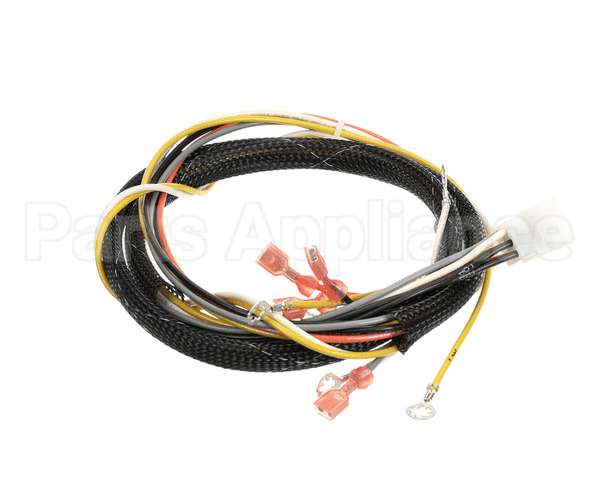 512764 Duke Harness,Proofer Tsc
