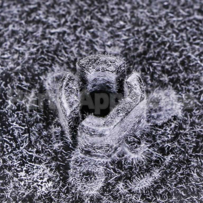 5303209769 Frigidaire Wheel-Blower