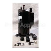 5304471013 Frigidaire Compressor