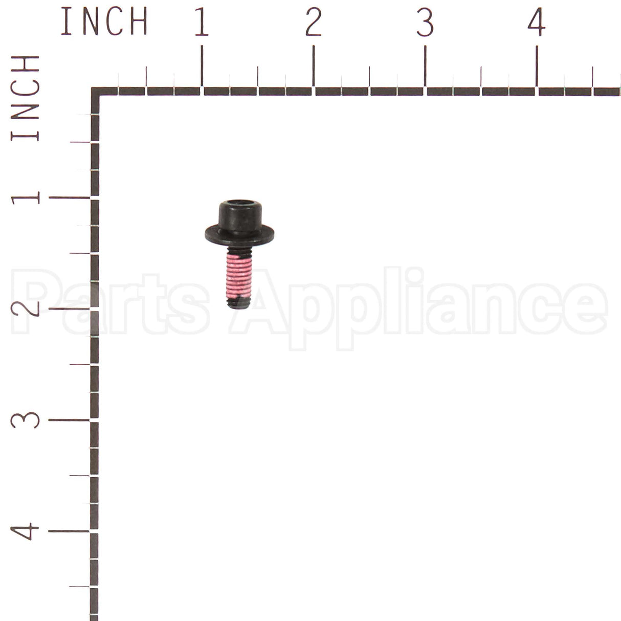 555644 Briggs & Stratton Screw