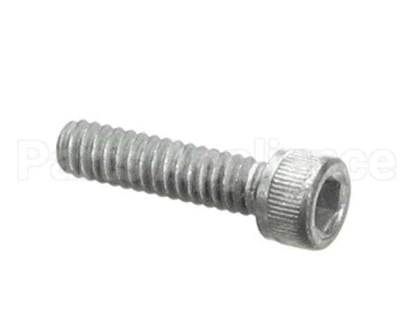 560892 Market Forge Screw Hex Socket Cad Pl10-24X