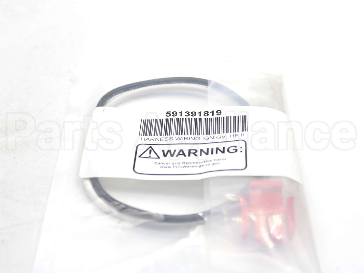 591-391-819 Weil Mclain Ignitor Wiring Harness