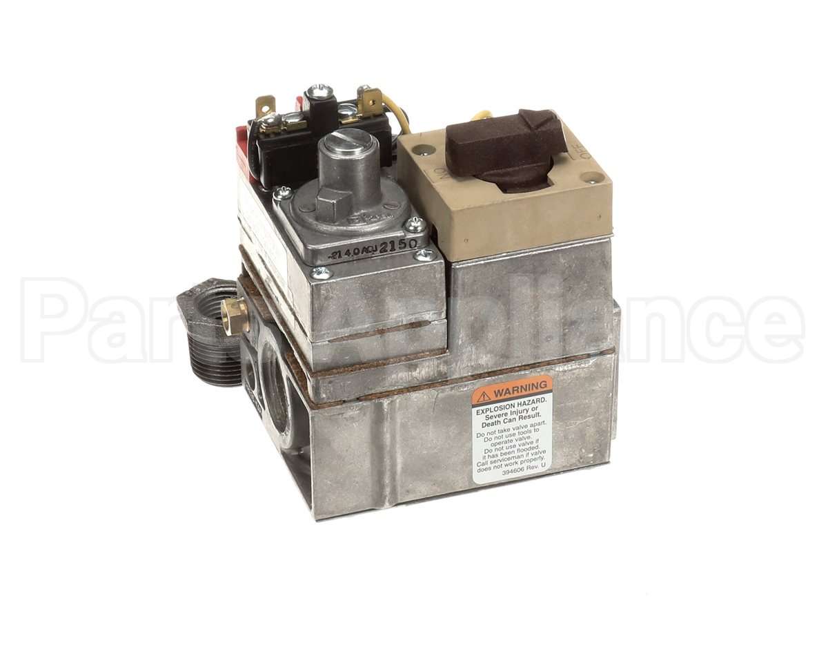 600862 Raypak Gas Valve Nat