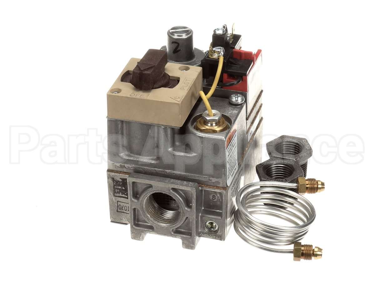 600862 Raypak Gas Valve Nat