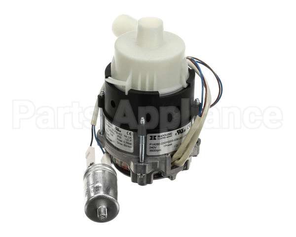 6042123 Giorik Pump, Wash, Evo, Sb