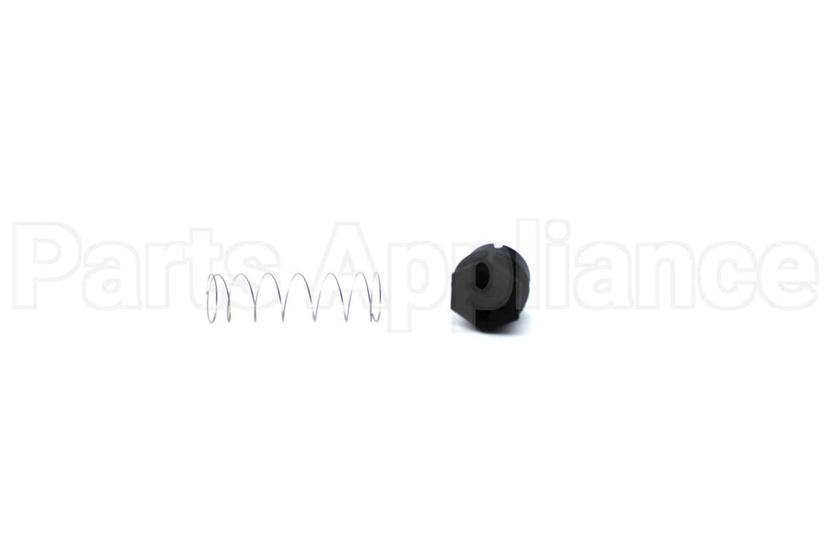 607016 Rheem-Ruud Lp To Nat Gas Valve Spring Kit