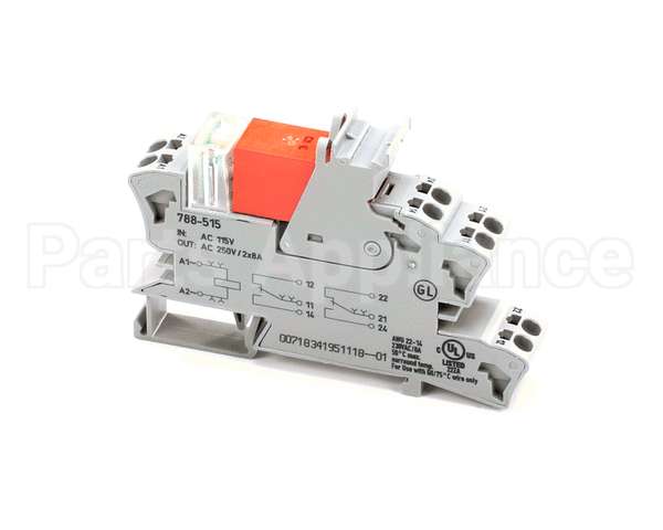 61079 Blodgett Relay,Interface 2 Pole 115V