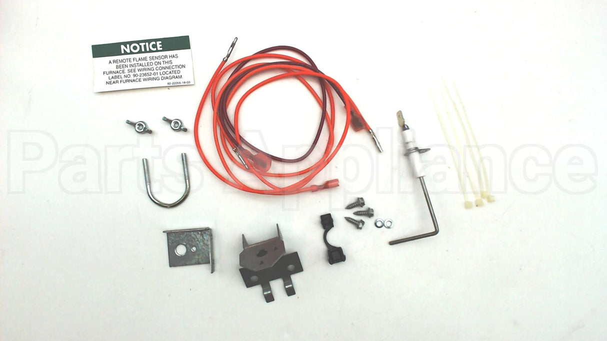 62-24044-71 Rheem-Ruud Flame Rod Kit