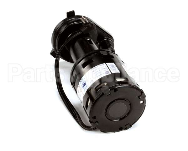 620204632 Cornelius Pump Water 1550 Rpm 115V