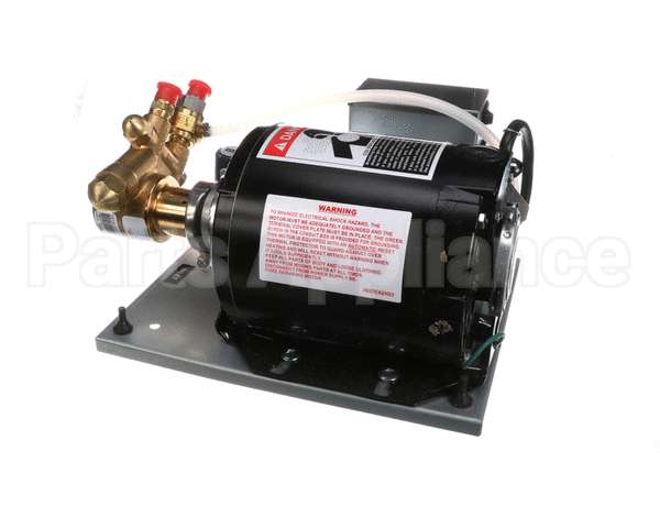 620408124 Cornelius Pump/Motor Assembly 120/60 1/3/Hp