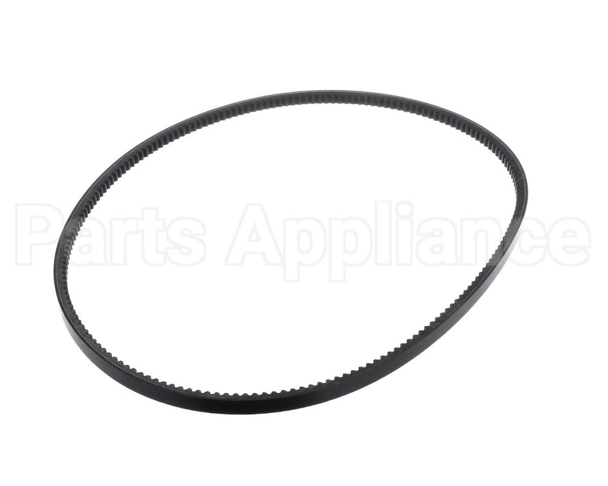 63K05 Lennox Belt (Bx55)