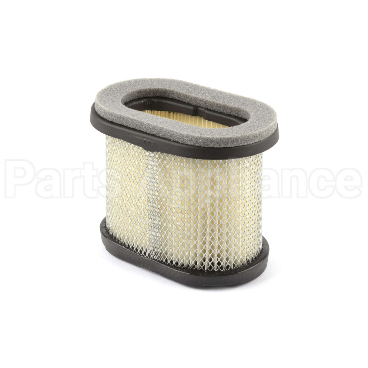 697029 Briggs & Stratton Filter-A/C Cartridge