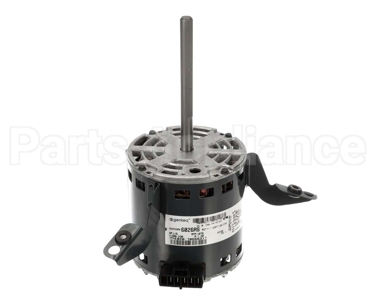 70556317 International Environmental 1/5Hp 208-230V 1Ph Motor