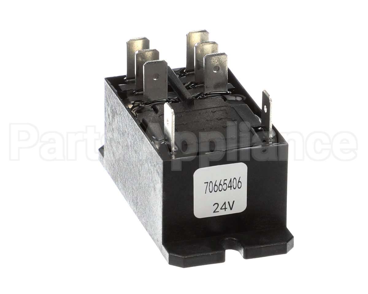 70665406 International Environmental 24V Dpdt Relay; 30A N/O,3A N/C