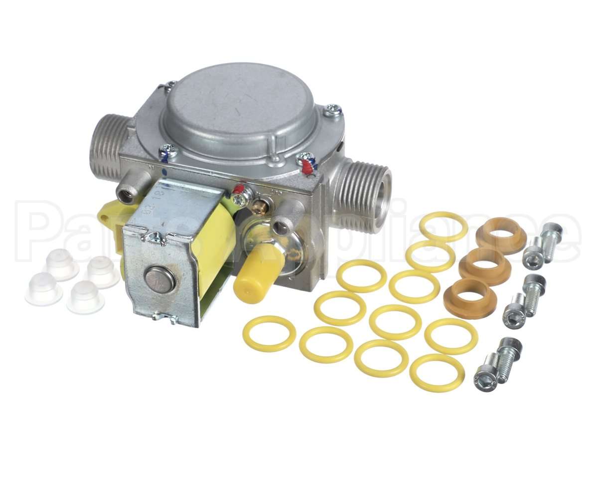 804000103 Rinnai Gas Valve Kit