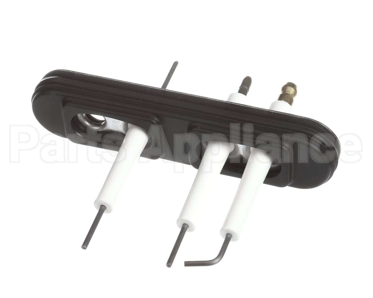 805000059 Rinnai Ignition/Electrode Assembly