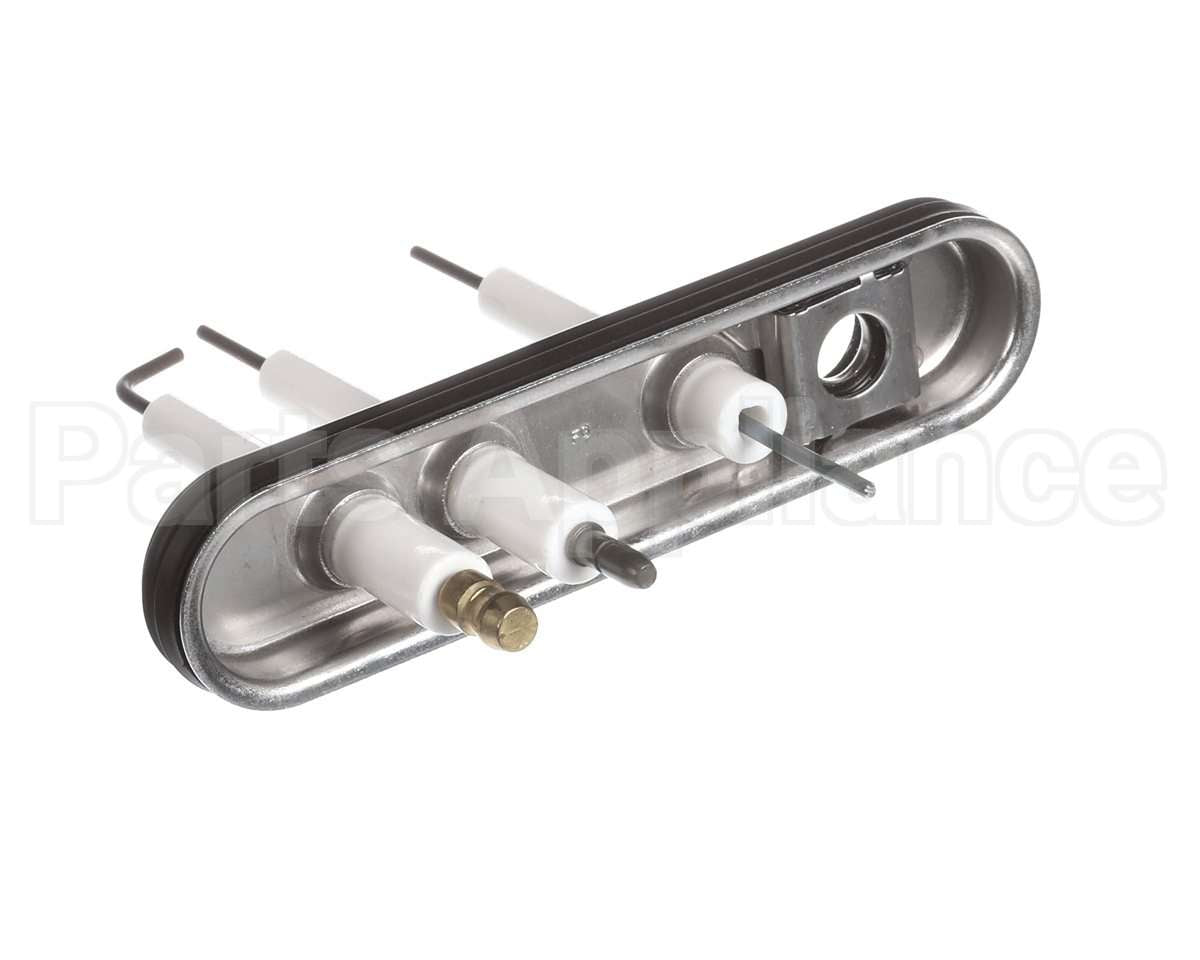 805000059 Rinnai Ignition/Electrode Assembly