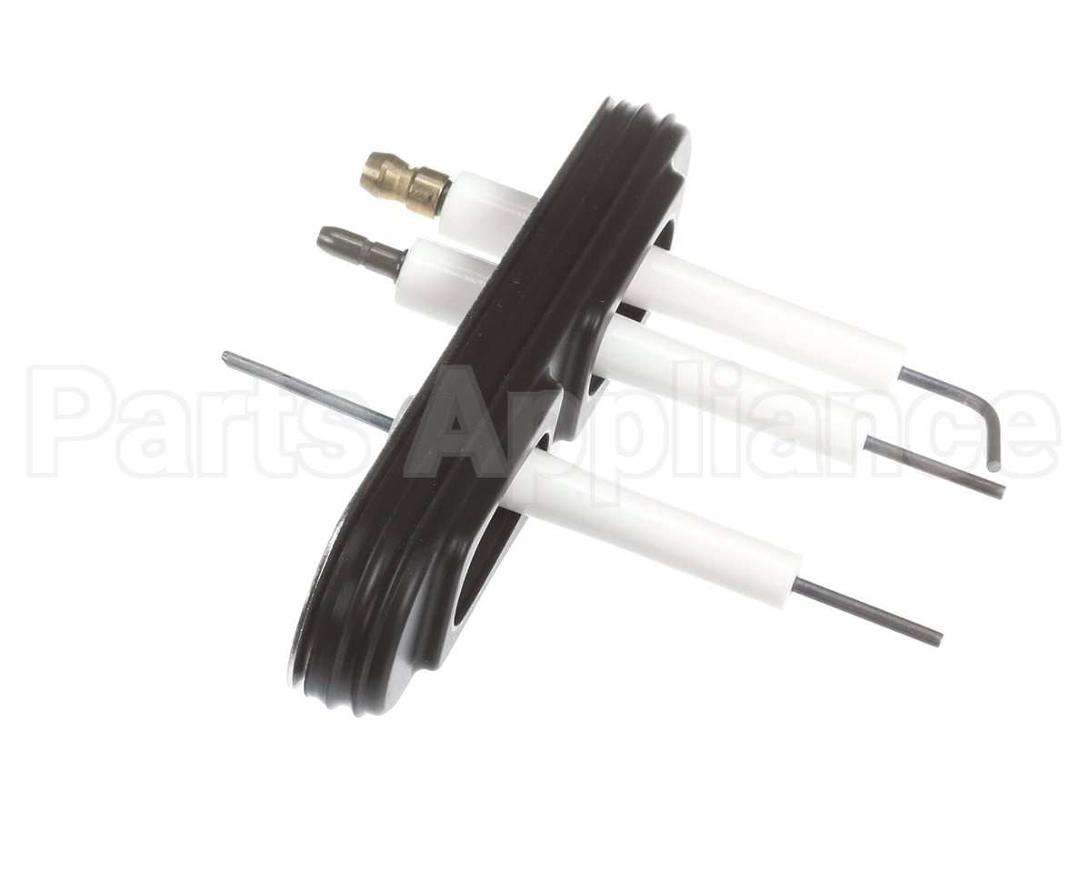 805000059 Rinnai Ignition/Electrode Assembly