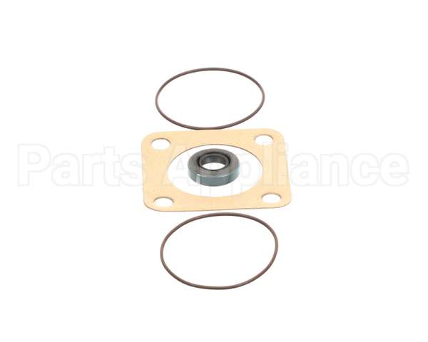 807-1197-3 Frymaster Viking Pump Seal Kit