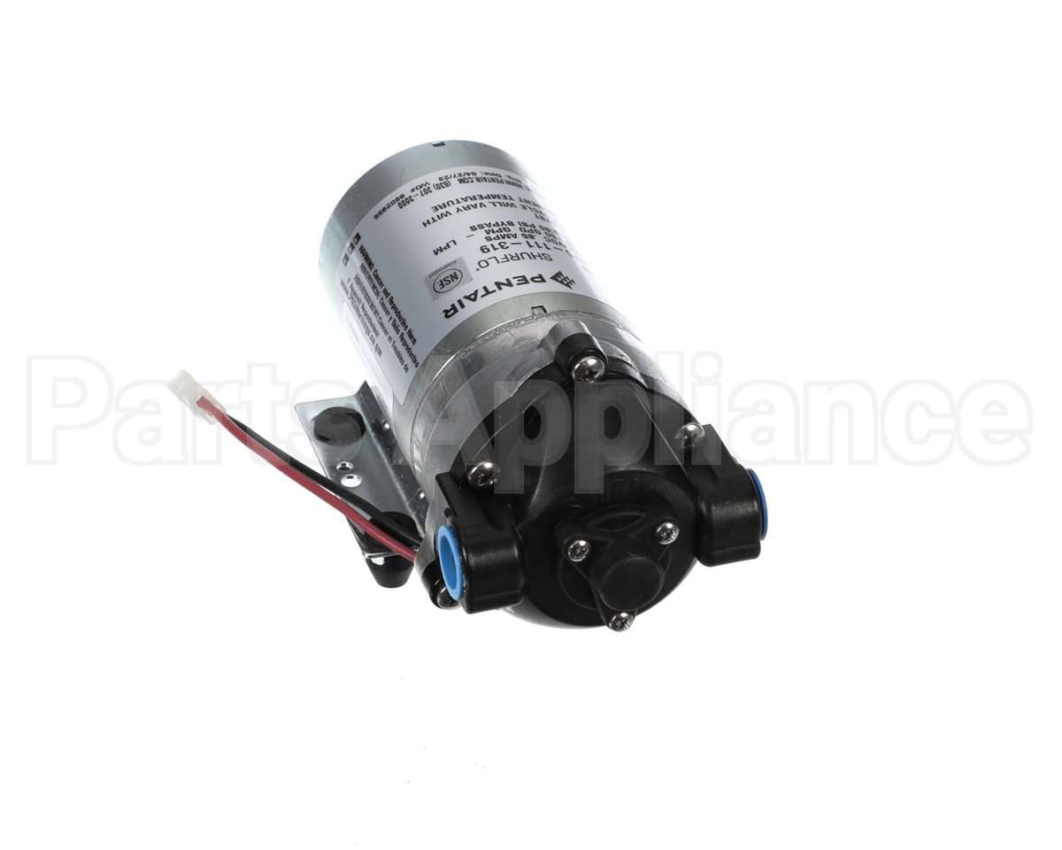 8075-111-319 Everpure Pump 24Vac R.o. General