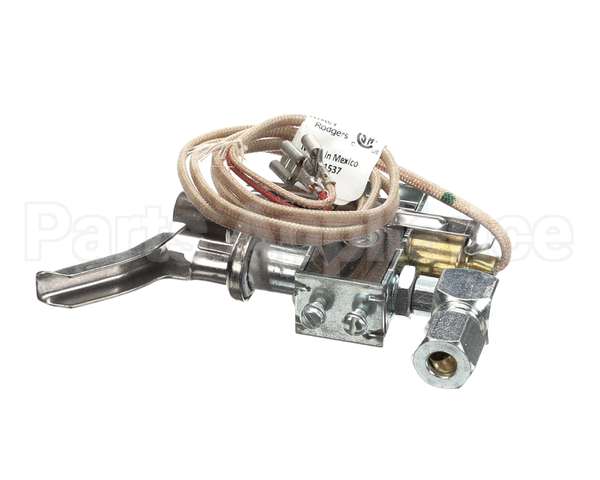 8101831 Frymaster Pilot Assembly,Mfg.036Dia Orifice