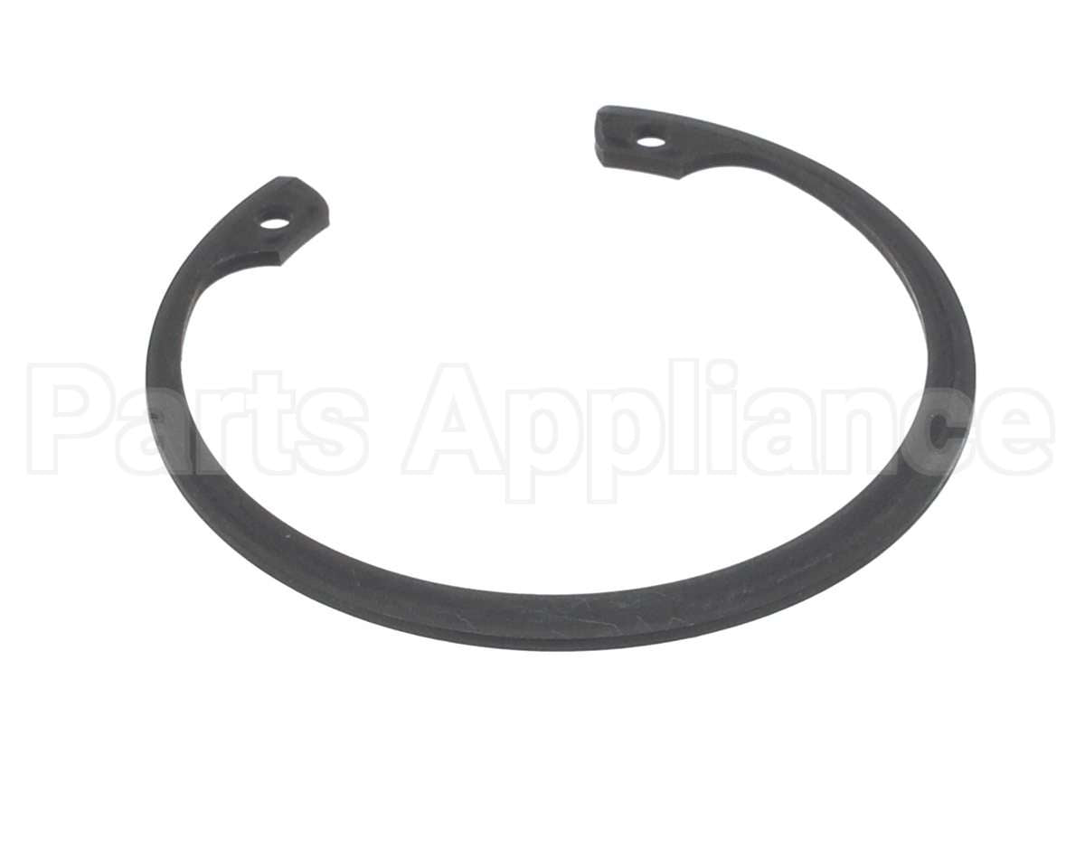 810427 Globe Retaining Ring, N5002-200