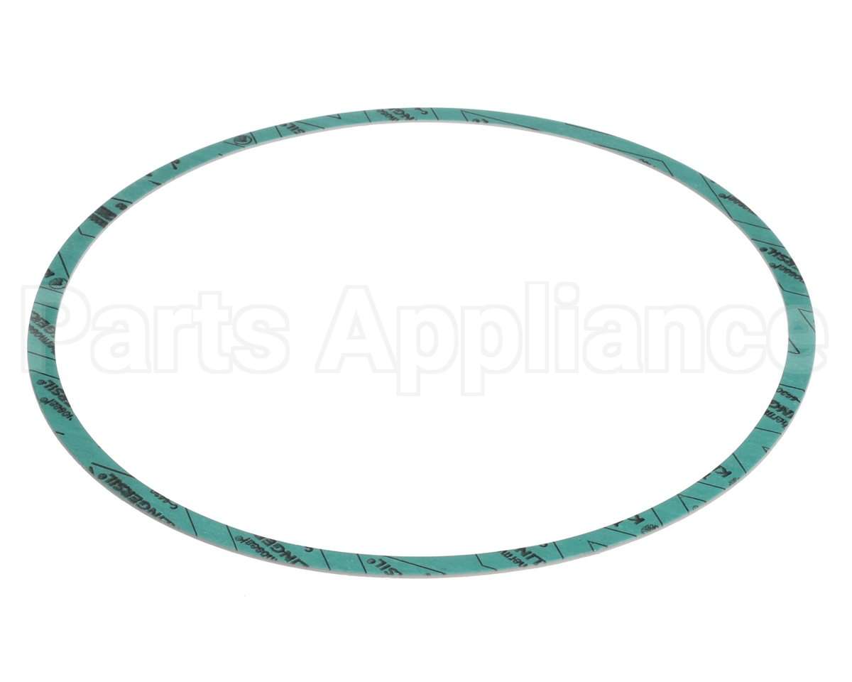 8426401-004 Armstrong Fluid Technology Gasket-Casing 10"