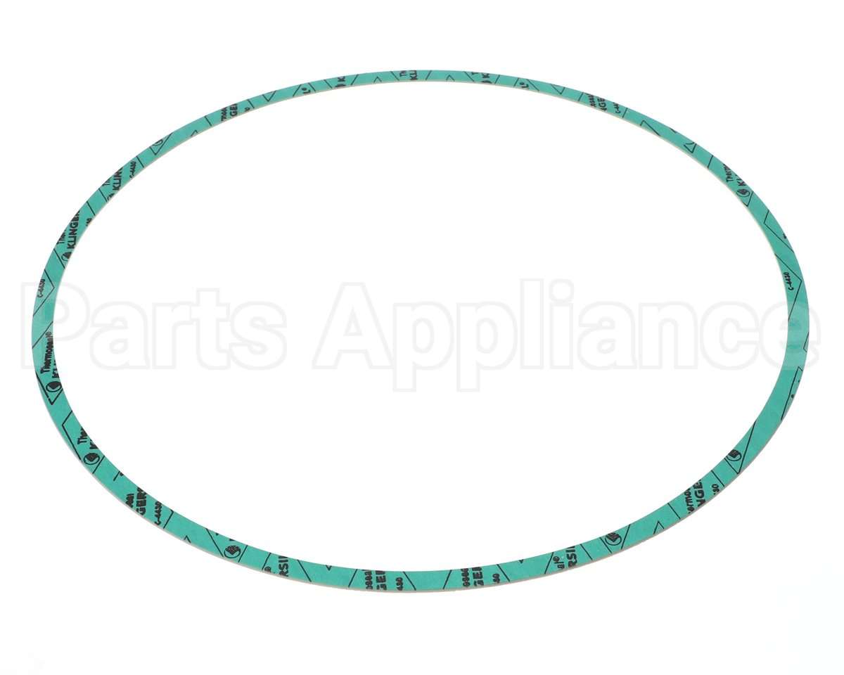 8426401-005 Armstrong Fluid Technology 13" Nitrile Gasket