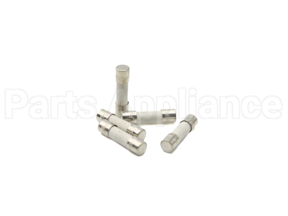 843494 Fisher Paykel Fuse Def Htr 4A 230V Sp (5Pk)
