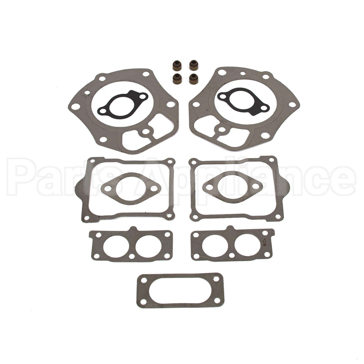 843713 Briggs & Stratton Gasket Set-Valve