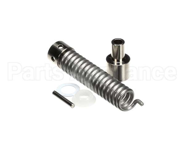851504 TRUE Hinge Spring R42-2800