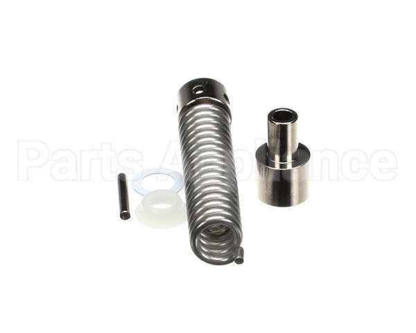 851504 TRUE Hinge Spring R42-2800