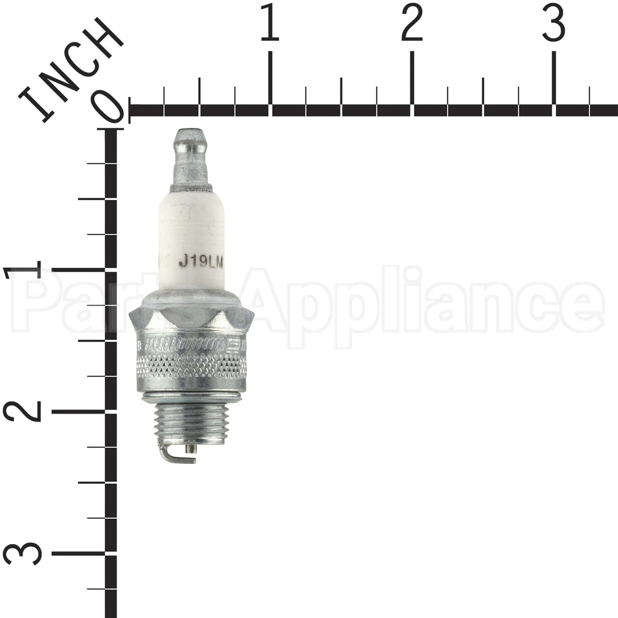 861-1 Champion J19Lm Sm Eng Plug Carded