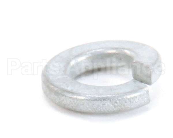 870020 Globe Lockwasher
