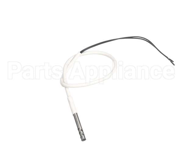 88613 Fisher Scientific Temp Probe