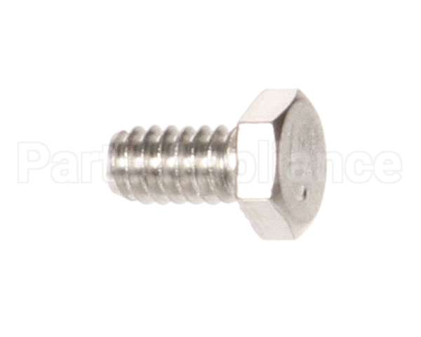 975-1 Globe Screw, Motor Shell S.s.