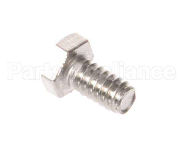 975-1 Globe Screw, Motor Shell S.s.