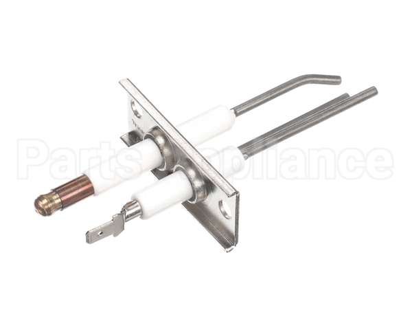 9875-002-003 Dexter Electrode